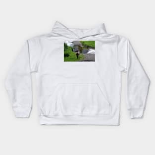 Bull by the River Kids Hoodie